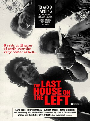 cover image of The Last House on the Left